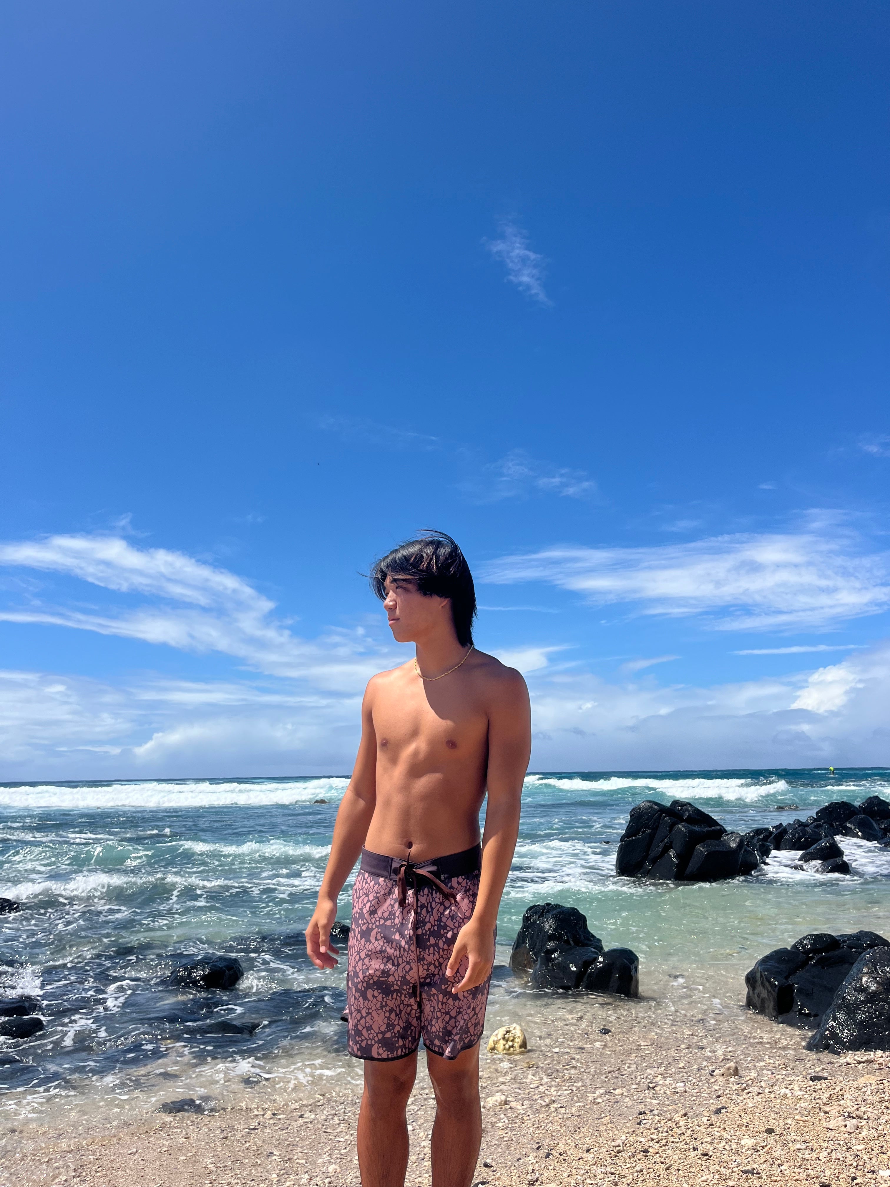 Shell Boardshorts
