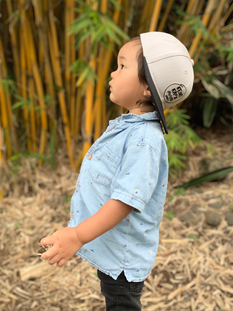 Grey and Black Snapback Pāpale